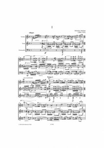 Streichtrio Nr. 1 (H. 136)