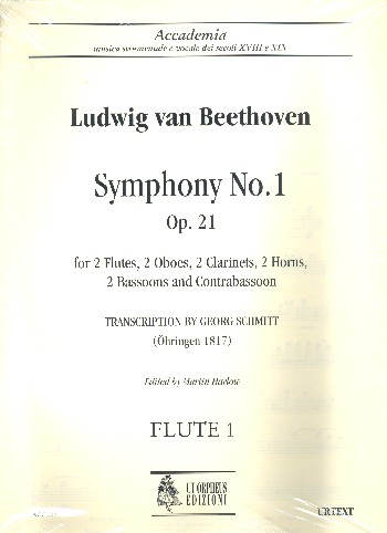 Sinfonie Nr. 1