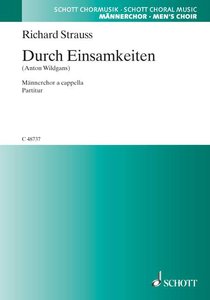 Durch Einsamkeiten, WoO AV 124