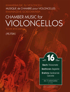 Chamber Music for Violoncellos Band 16