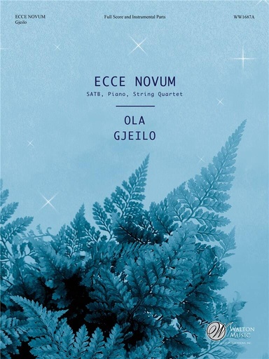 [310545] Ecce novum