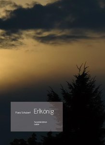 [290619] Erlkönig D 328