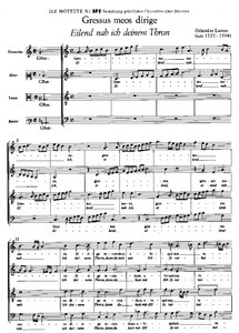 [165702] Gressus meos dirige