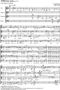 [109340] Afflictus sum, op. 55/1