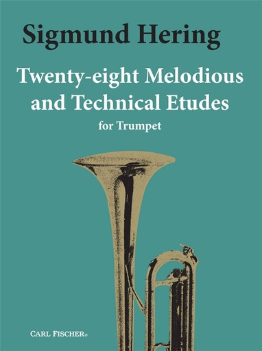 [17672] 28 melodious and technical Etudes