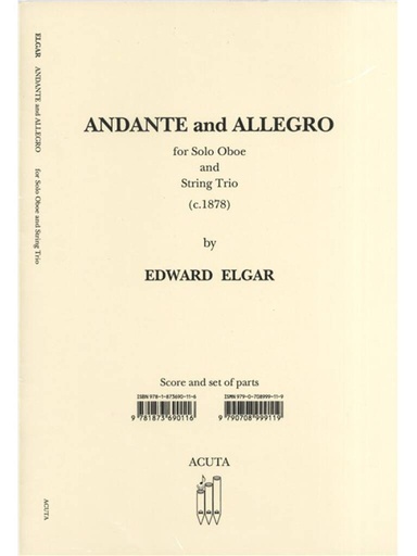 [289195] Andante und Allegro