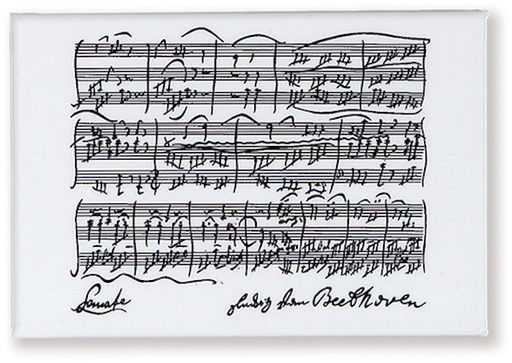 [107638] Magnet Beethoven weiss