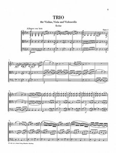 [HN-04222] Streichtrios und Streichduo, Abteilung VI Band 6