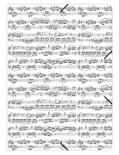 [504688] Elastic Folder Notelines White "Urtext" B4