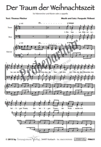 [511053] Der Traum der Weihnachtszeit