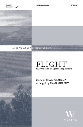 [511849] Flight