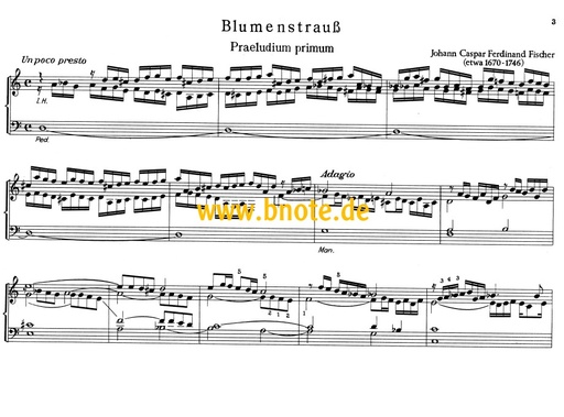 [511926] Musikalischer Blumenstrauss