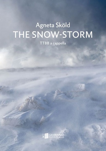 [512407] The snow-storm