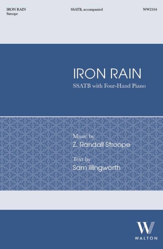 [513511] Iron rain