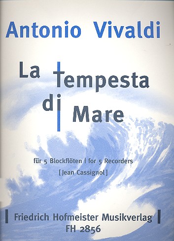 [115958] La Tempesta di Mare