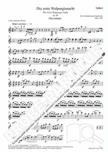 [318285] Die erste Walpurgisnacht, op. 60 / MWV D 3