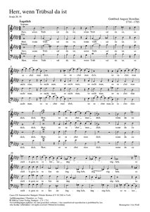 [171392] Herr, wenn Trübsal da ist