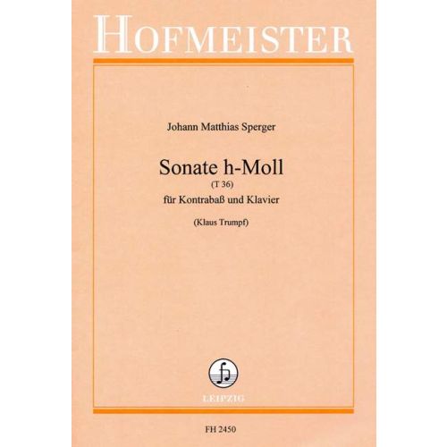 [3673] Sonate h-moll