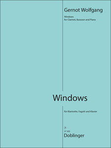 [37-00305] Windows