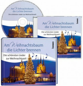 [293610] Am Weihnachtsbaum die Lichter brennen