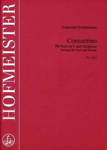 [316820] Concertino