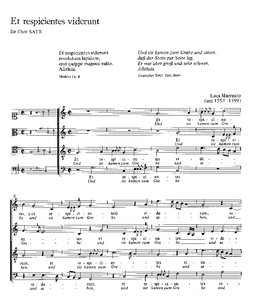 [168076] Et respicientes viderunt